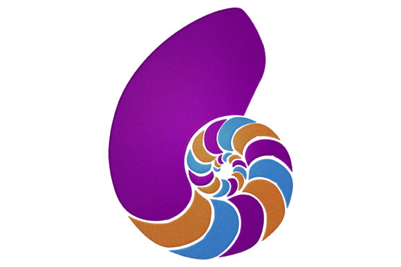 Multicolor Shell Embroidery